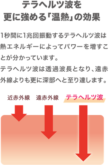 テラパーミア | HEARTS FAMILY |『かけがえのない健康』のために 